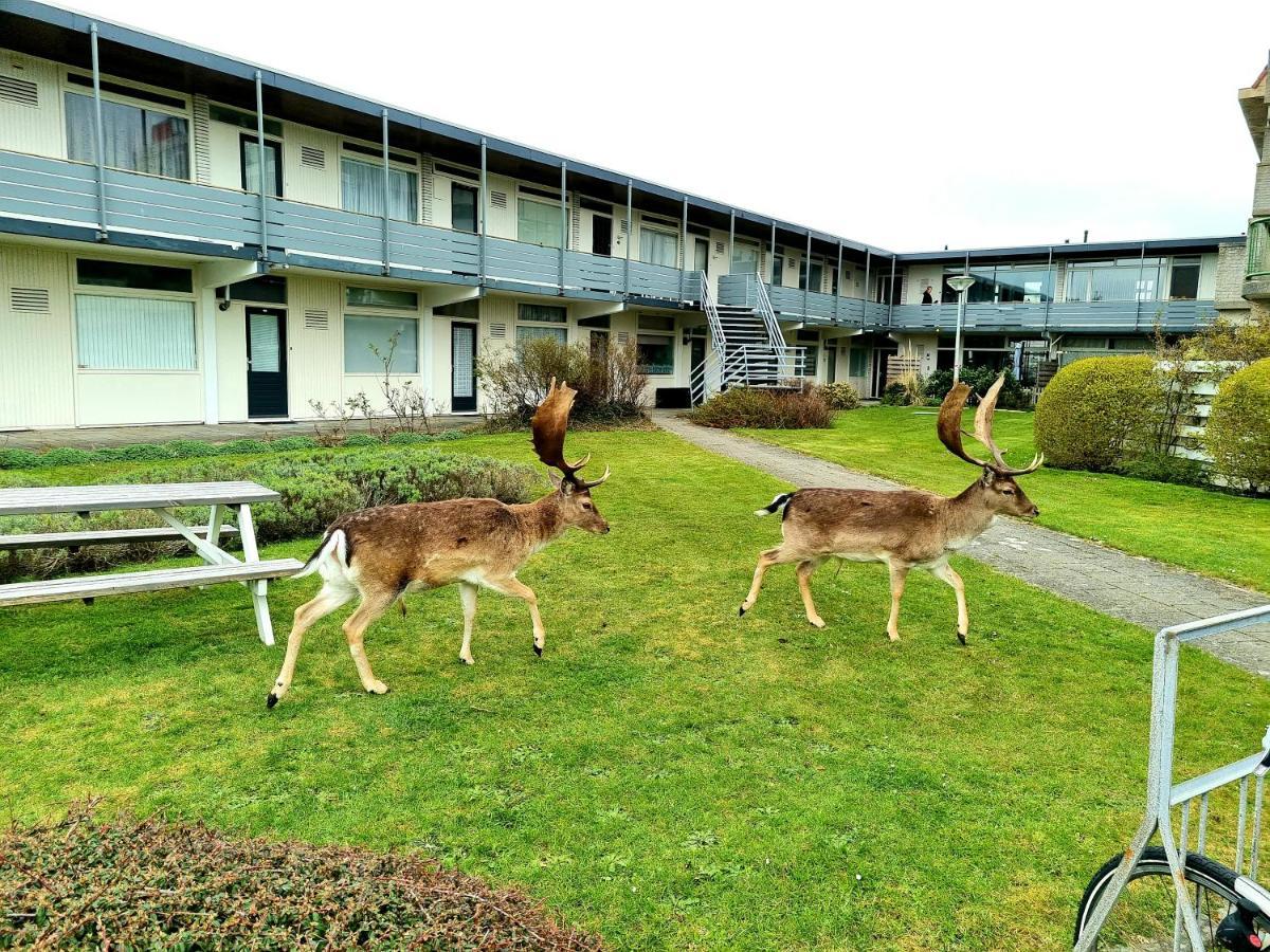 Apartamento De Schelp 73 The Perfect Place! *